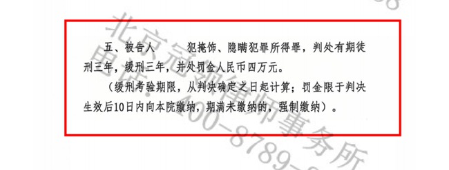 1741599646840777.jpg 8.5.jpg