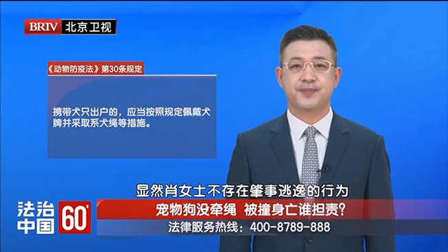 4-120251206-1宠物狗没牵绳 被撞身亡谁担责？.mp4.00_00_00_00.Still001.jpg